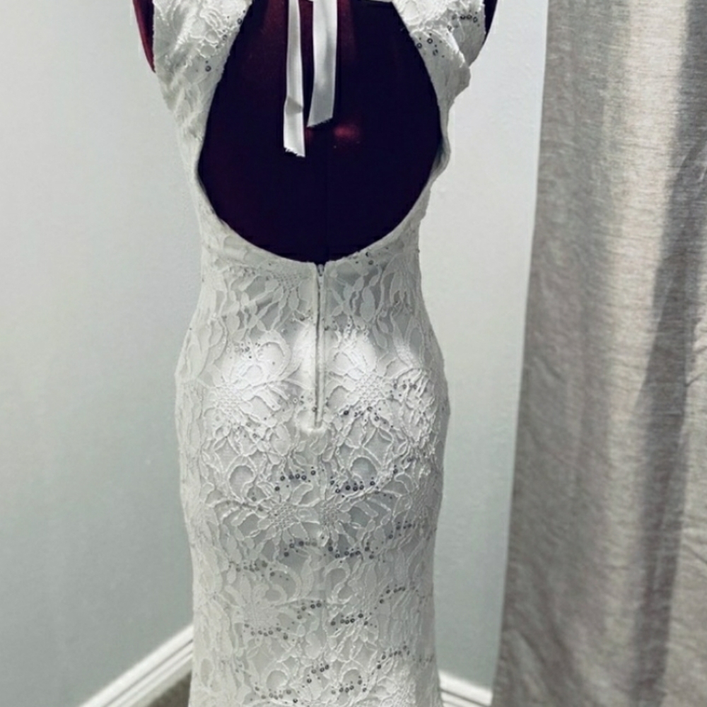 LACE PROM/BRIDAL DRESS - Picture 7 of 12